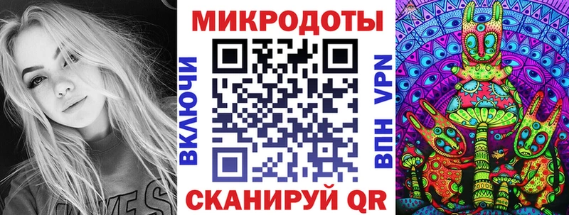 закладки  Верея  Галлюциногенные грибы Psilocybine cubensis 